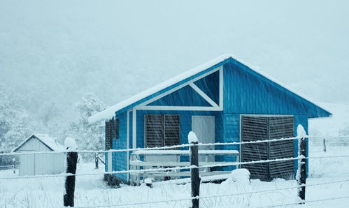 下雪文案短句温柔 下雪天配的朋友圈文案