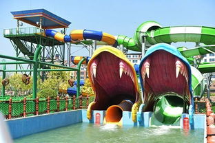 欢乐谷二期玛雅海滩水公园正式开业了,<a href='http://sz.ptotour.com/domestic/tianjin/'  target='_blank'>天津</a>人玩水又多了一个选择 