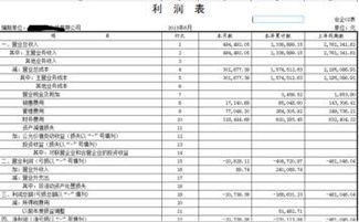 怎么查看资产负债表现金流量表利润表