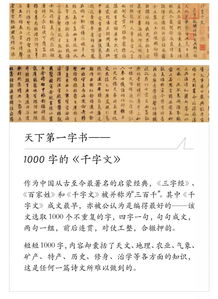 1111什么意思,1111什么代表-第4张图片