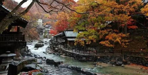 走进日本,乡村旅游特色小镇怎么走向成功 