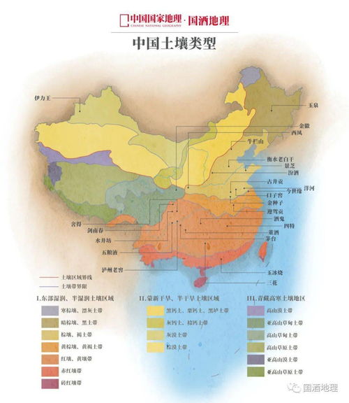 1一49金木水火土数2023