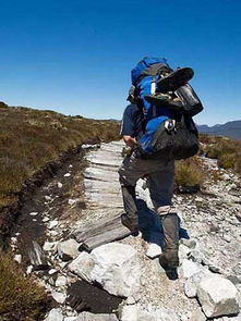 户外登山活动中的行进调节知识