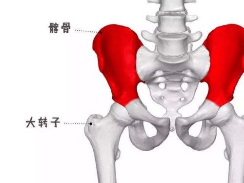 太极拳如何做到立身中正 看你有没有找到这种感觉