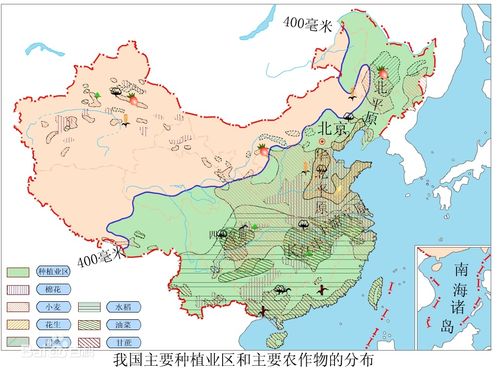 印度是粮食出口国还是进口国？