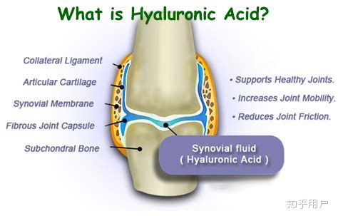 透明质酸 透明质酸钠 水解透明质酸钠这三者区别是什么 