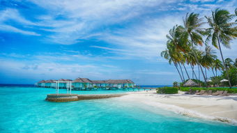 马尔代夫攻略旅游费用 去马尔代夫两人7日游大概多少人民币（马尔代夫旅游要多少钱2个人）