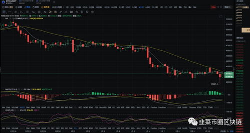 btc币的行情分析,btc行情图怎么看