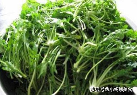 荠菜 虽然好吃,但是挖荠菜的时候一定要清楚,内个是无毒的