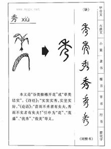 秀同音字有哪些,秀的同音字大全 