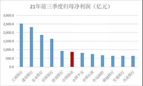 2022年新股申购在电脑上如何操作