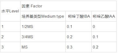 组培毕业论文