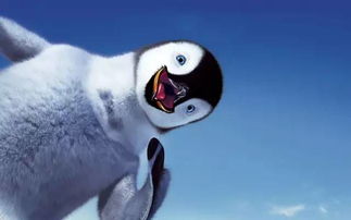 一只胖企鹅攻略,胖企鹅的幸福生活：攻略全解析-第1张图片-捷梯游戏网