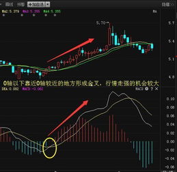 股票里macd指标的黄线和白线个代表什么意思?其中能看出什么