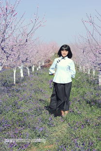 桃花村里的女孩