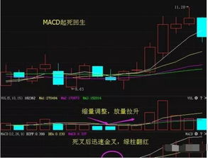 股票跟着大股买有什么好处和坏处？小股民应该跟随哪种股民买？