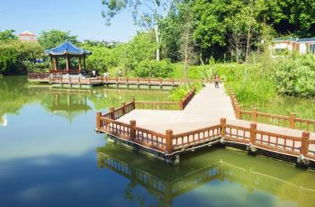 漳州芝山公园：城市绿肺，休闲胜地