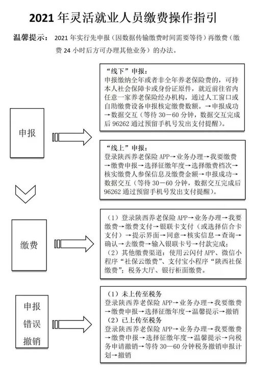 养老保险怎么查个人缴费情况(怎么查个人的养老保险费)