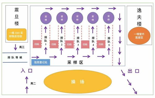 一校一策 ,黄浦推进高中常态化核酸采样点建设,采样人员持证上岗