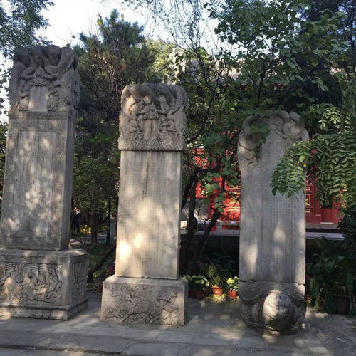 丁香浓煞法源寺