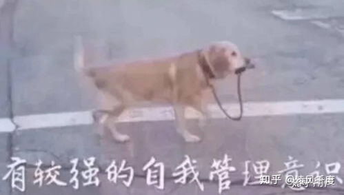 怎么吸引闷骚男 