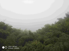 最美竹林山水风景图片，最美竹林山水风景图片 壁纸