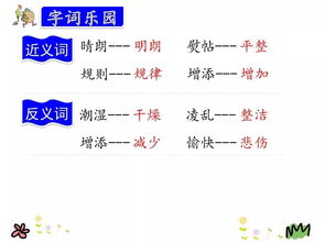 一把雨伞造句,一片叶子造句二年级