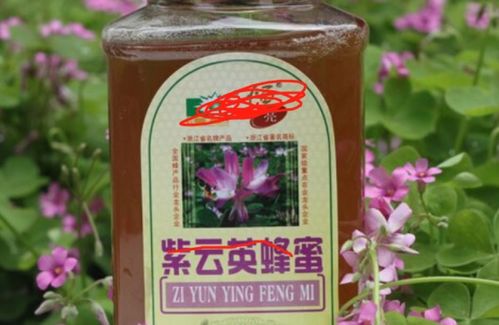 紫云英蜂蜜,缎树蜂蜜,洋槐蜂蜜,有什么区别 