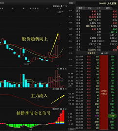 散户投资股票要避免哪些常见错误