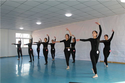 高考艺考舞蹈培训机构