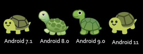 在你的 Android 手机上 云养猫 Android 11 Beta 3 具透