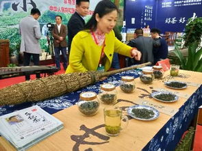 信阳茶文化节,信阳市举办国际茶文化节的目的体现了文化生活的什么道理？