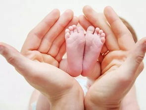 试管婴儿胚胎移植后卧床有利于胚胎着床吗?