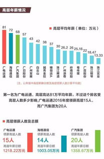 在一家大型企业工作二十年的CEO年薪为多少万