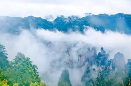 张家界武陵源,雨后现云海,飘逸壮观,似一幅幅水墨山水画