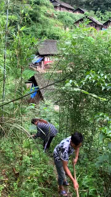 路上草太多了,和老公一起把草除掉 