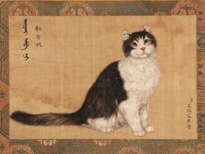乾隆的猫咪名字都这么好听,古代人就是有文化,铲屎官学一下