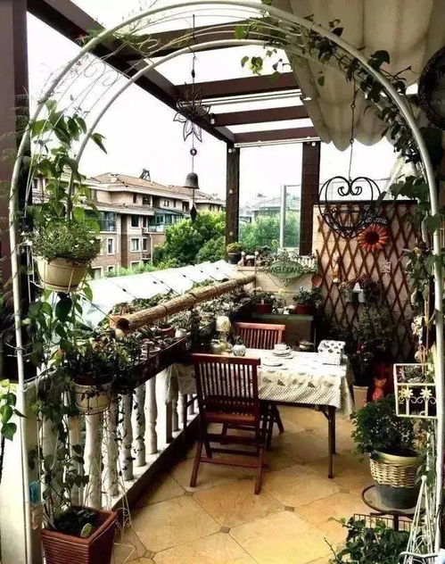 阳台种上这些攀爬植物,东北阳台攀爬植物？