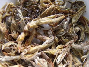 老鹰茶知识介绍 老鹰茶的功效与作用及禁忌中哪些人不能喝 老鹰茶的特点及冲泡方法