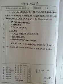 文章 顶岗实习月总结 