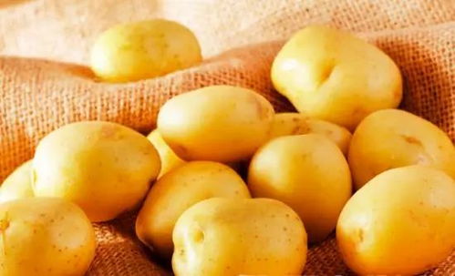 土豆是人人爱,但是发芽的土豆能吃吗 对人体有危害吗