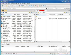 linux录屏软件本地安装包,linux下的视频录制软件xvidcap