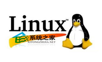 linux ssh安装,1. 打开终端。