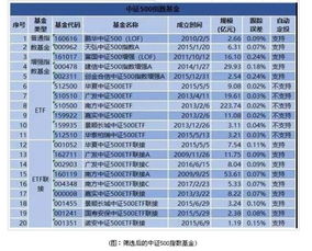 怎样快速查找我需要的基金数据