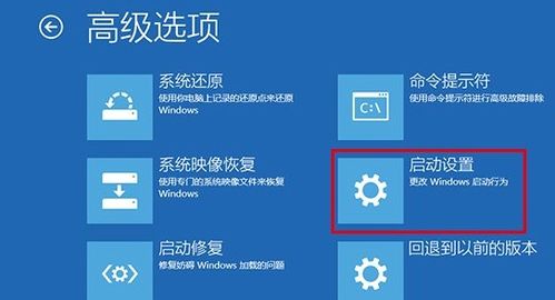 win10闪屏什么也打不开怎么办啊