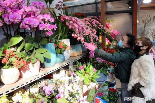 沧州香烟鲜花批发市场在哪里呀-沧州香烟鲜花批发市场在哪里 - 1 - 680860香烟网