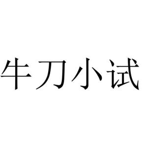 牛刀小试,牛刀小试——初露锋芒的智慧与勇气