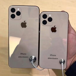 iphone 11(苹果11都有什么功能)