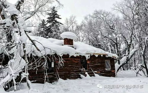 雪乡三日游,雪乡旅游攻略三天多少钱-第3张图片