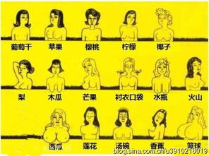 按照水果形状分类 从胸部形状看女人性欲